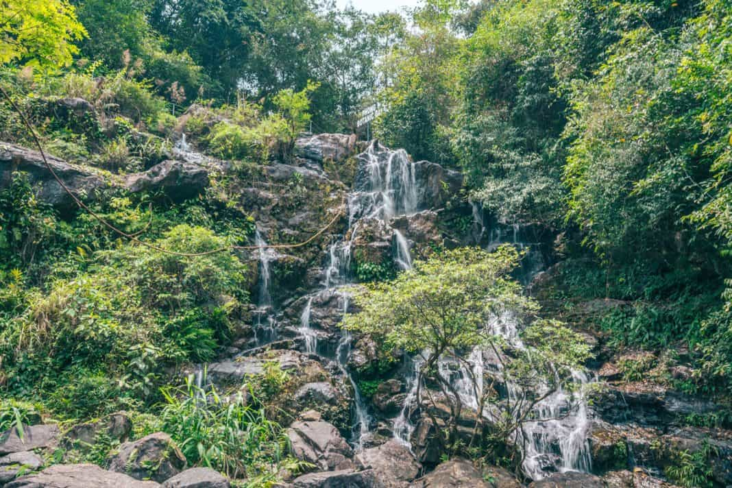 Phong Nha Botanical Garden A Complete Guide The Largest Cave In The