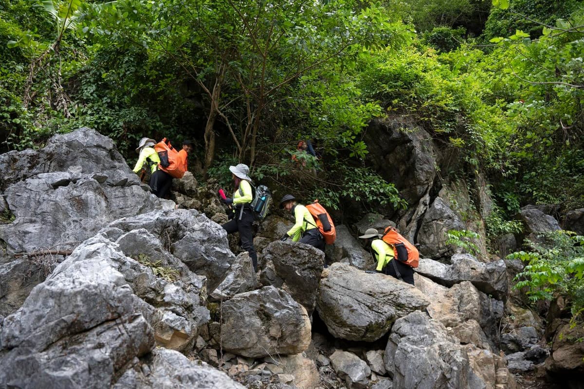 Các tour thám hiểm hệ thống hang động Tú Làn có nhiều dốc đá, vách đá trong rừng,... phù hợp với du khách thích vận động và chinh phục địa hình đa dạng