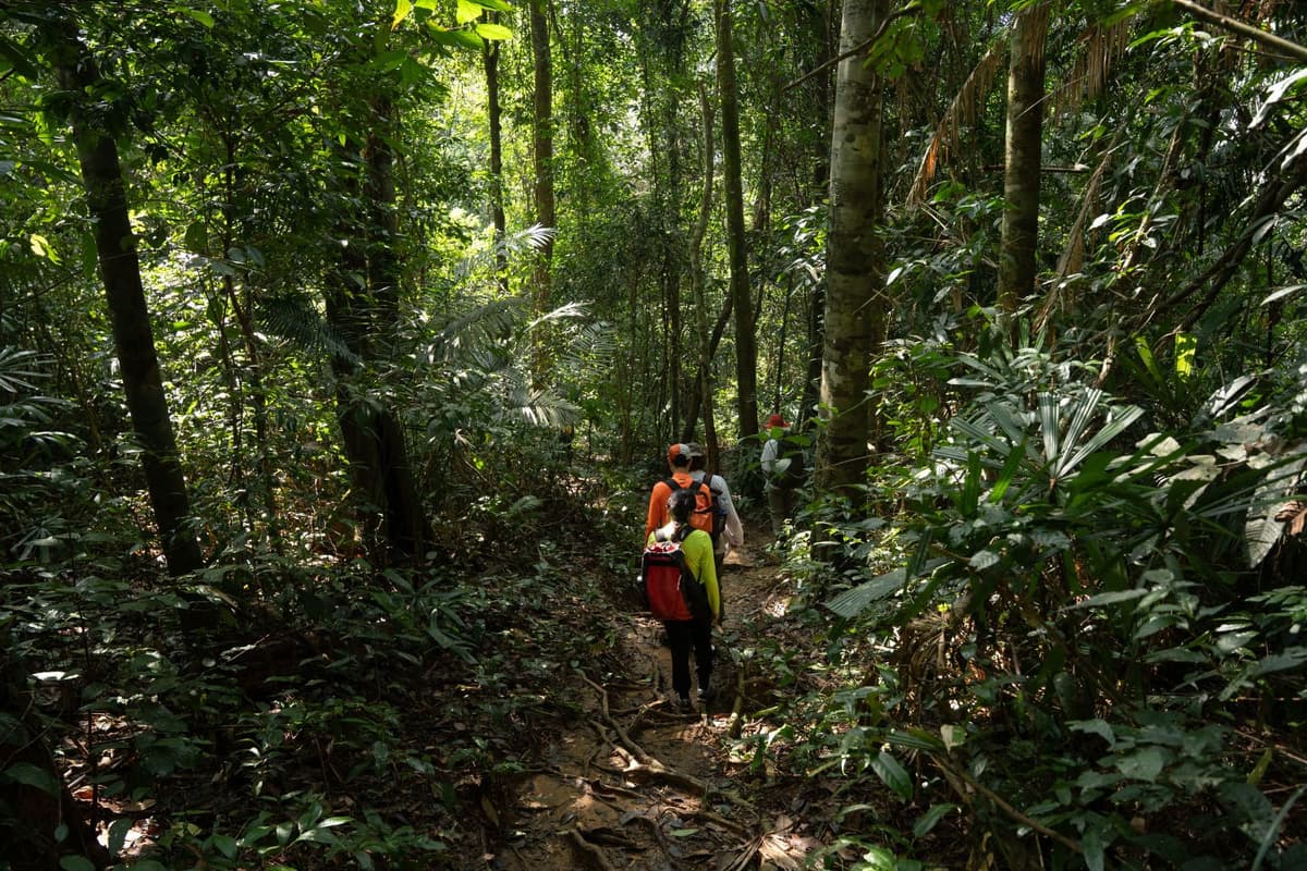 dia hinh trekking trong rung jpg