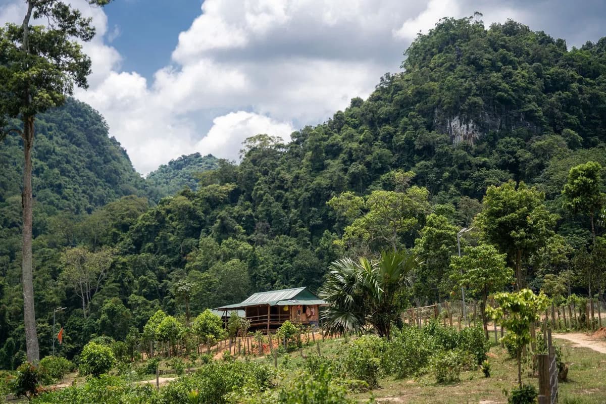 The village lies in Ban Doong Valley, surrounded by natural forests and limestone mountains in Phong Nha - Ke Bang National Park.
